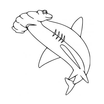 Раскраски Акула-молот - распечатать, скачать бесплатно