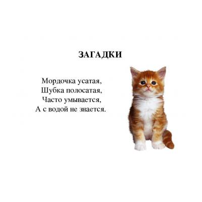 Загадки про кошку для детей - распечатать, скачать бесплатно