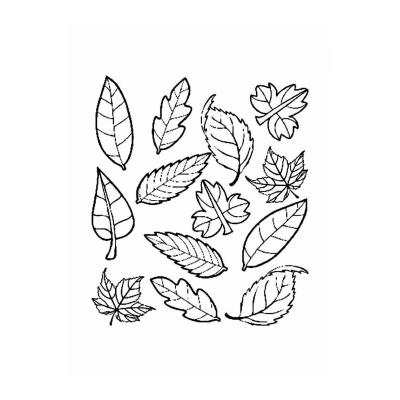  рисунки листьев разных деревьев шаблоны