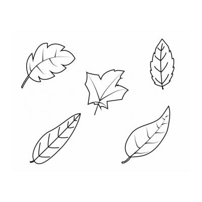  картинки осенних листочков для детей