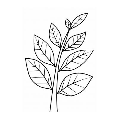  картинки листьев для детей