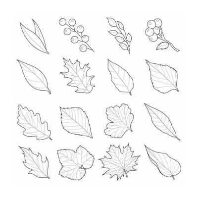  листья раскраска для детей