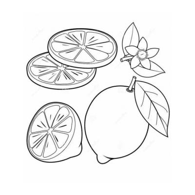  рисунки для срисовки лимон