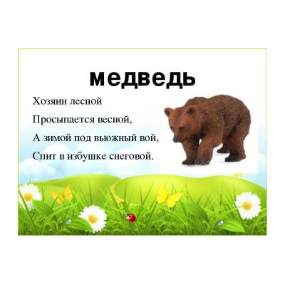 Загадки про медведя для детей - распечатать, скачать бесплатно