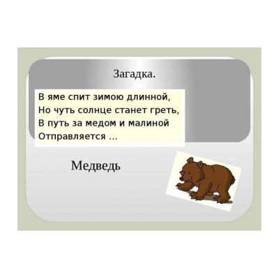 Загадки про медведя для детей - распечатать, скачать бесплатно