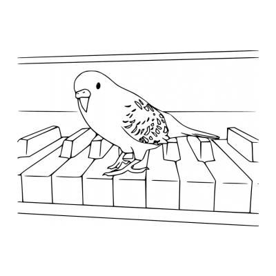 Раскраски Длиннохвостый попугай - распечатать, скачать бесплатно