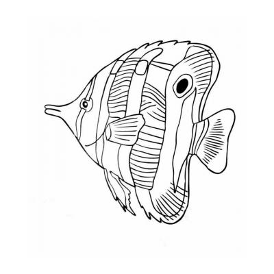 Раскраска Морская Рыба