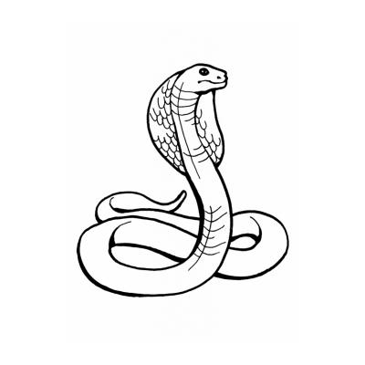  Мудрая змея