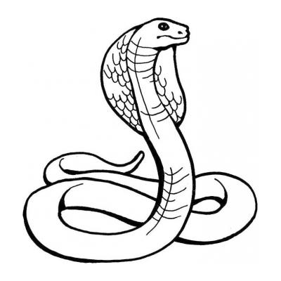  Змея - раскраска для детей