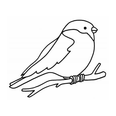  снегирь птица раскраска для детей