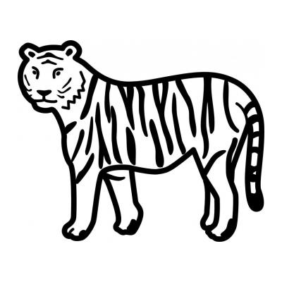  Тигр из семейства кошачьих