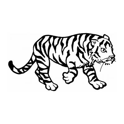 Раскраски Амурский Тигр - распечатать, скачать бесплатно