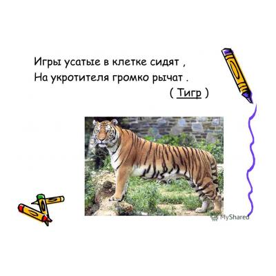 Загадки про тигра для детей - распечатать, скачать бесплатно