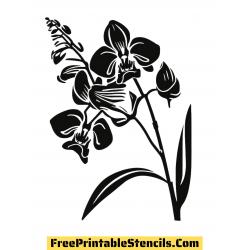 Трафареты орхидеи для вырезания из бумаги - распечатать, скачать бесплатно