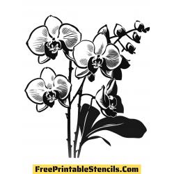 Трафареты орхидеи для вырезания из бумаги - распечатать, скачать бесплатно