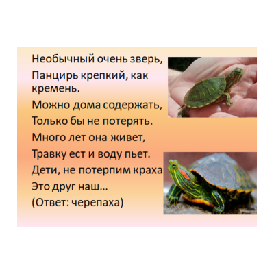 Загадки про черепаху для детей - распечатать, скачать бесплатно
